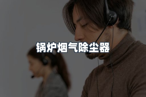 锅炉烟气除尘器